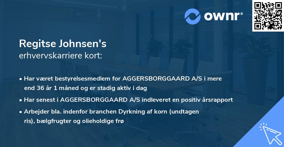 Regitse Johnsen's erhvervskarriere kort