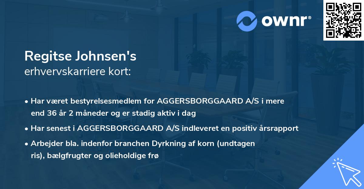 Regitse Johnsen's erhvervskarriere kort