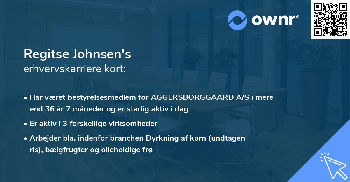 Regitse Johnsen's erhvervskarriere kort