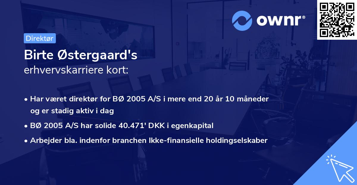 Birte Østergaard's erhvervskarriere kort
