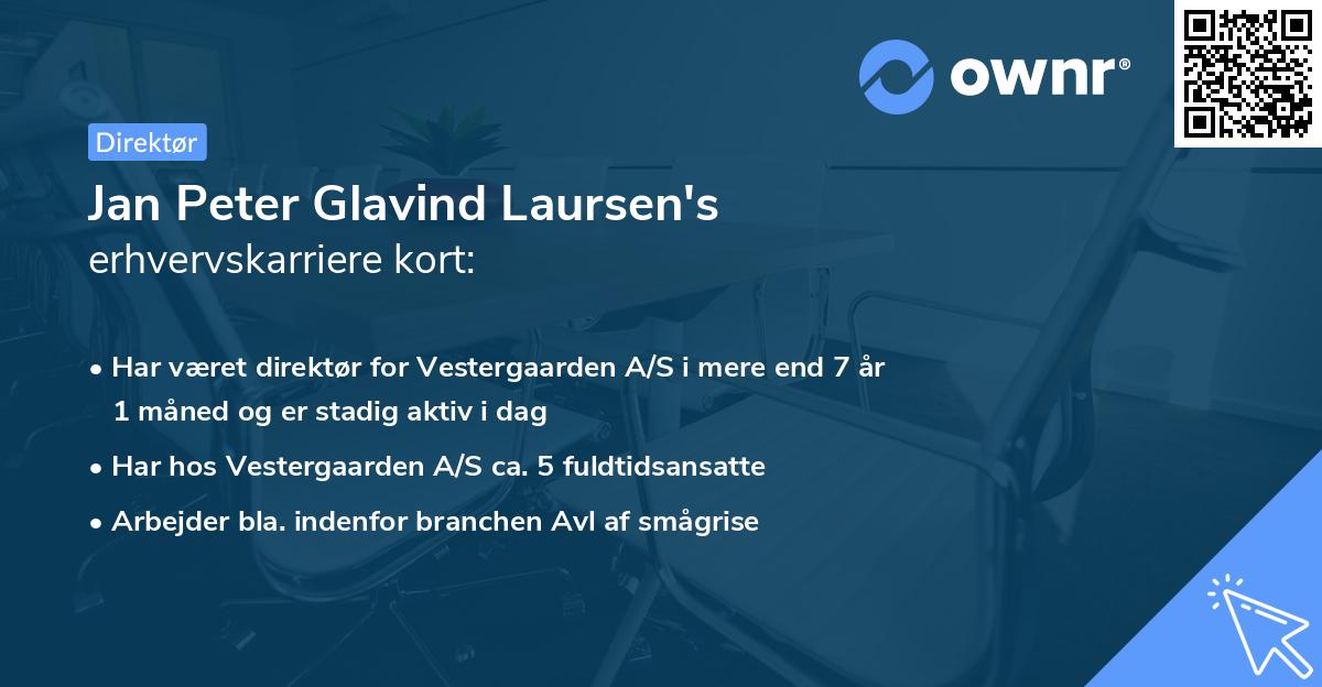 Jan Peter Glavind Laursen's erhvervskarriere kort