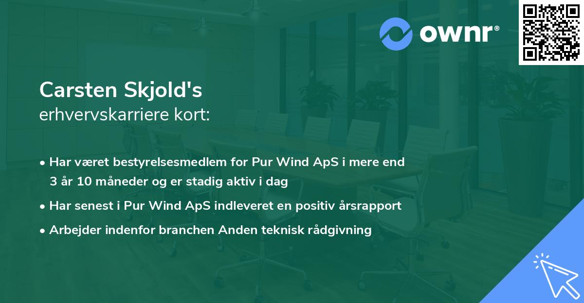 Carsten Skjold's erhvervskarriere kort