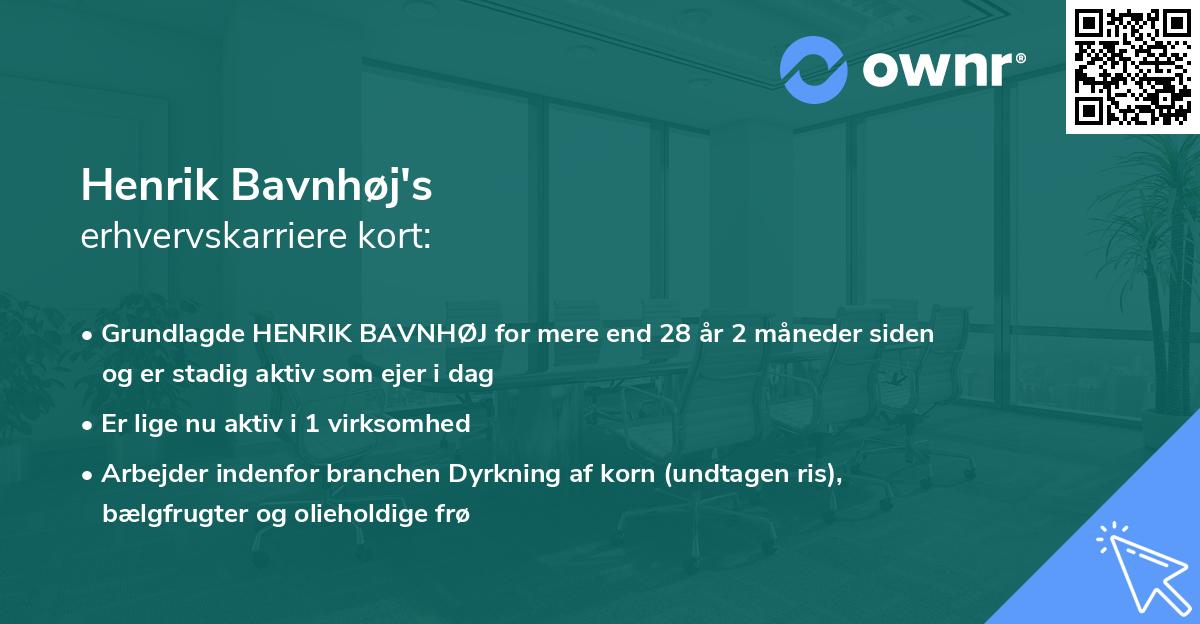 Henrik Bavnhøj's erhvervskarriere kort