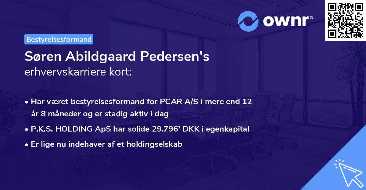 Søren Abildgaard Pedersen's erhvervskarriere kort