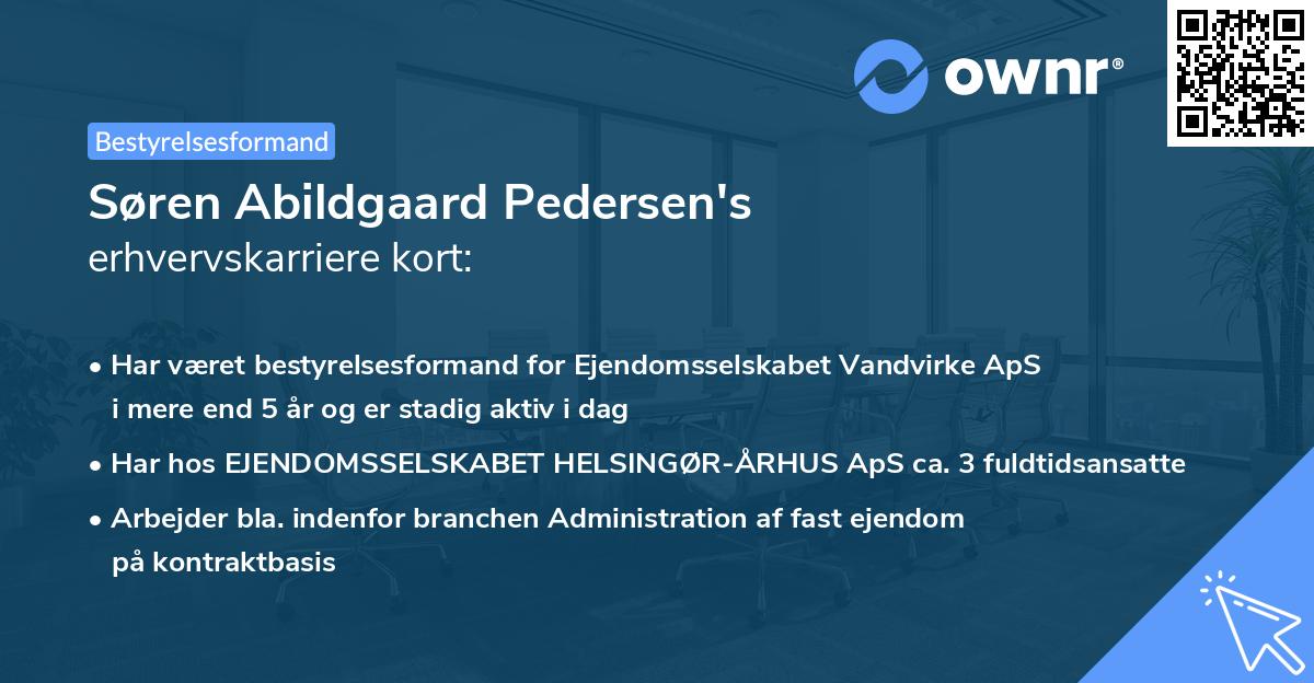 Søren Abildgaard Pedersen's erhvervskarriere kort