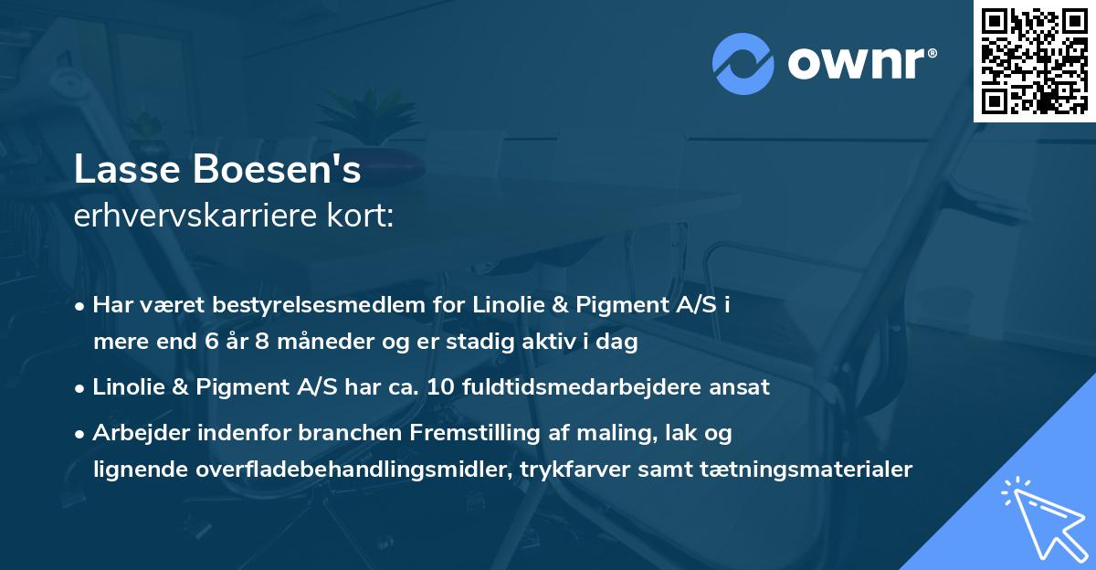 Lasse Boesen's erhvervskarriere kort