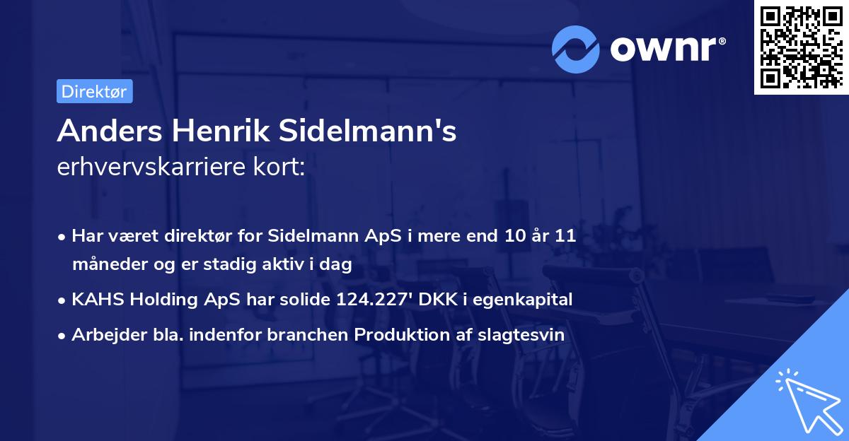 Anders Henrik Sidelmann's erhvervskarriere kort