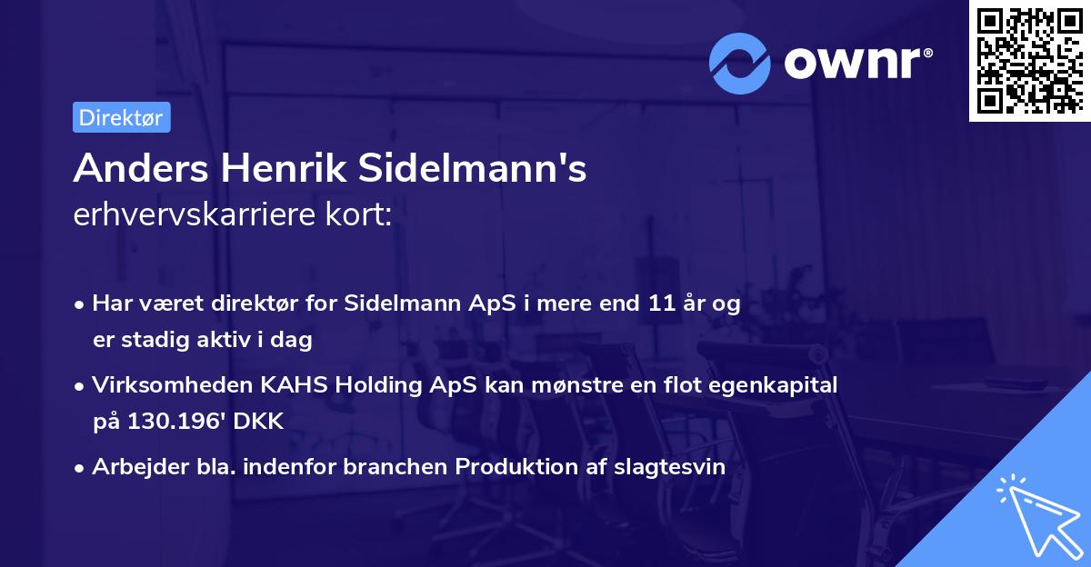 Anders Henrik Sidelmann's erhvervskarriere kort