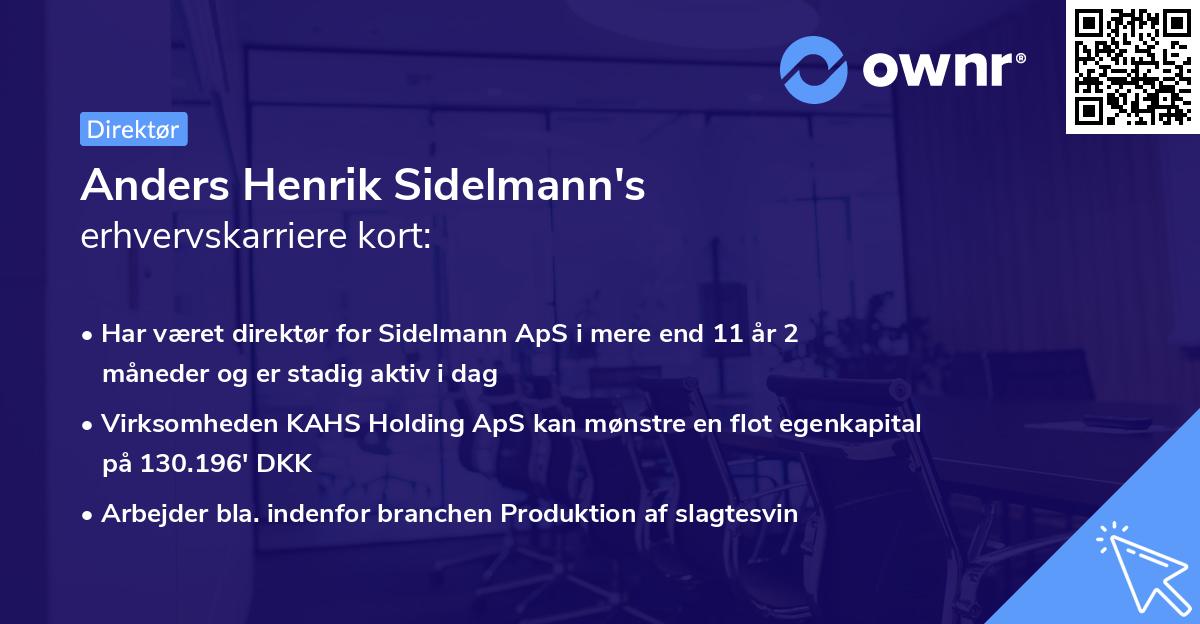 Anders Henrik Sidelmann's erhvervskarriere kort