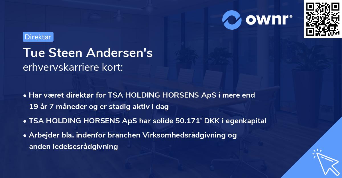 Tue Steen Andersen's erhvervskarriere kort