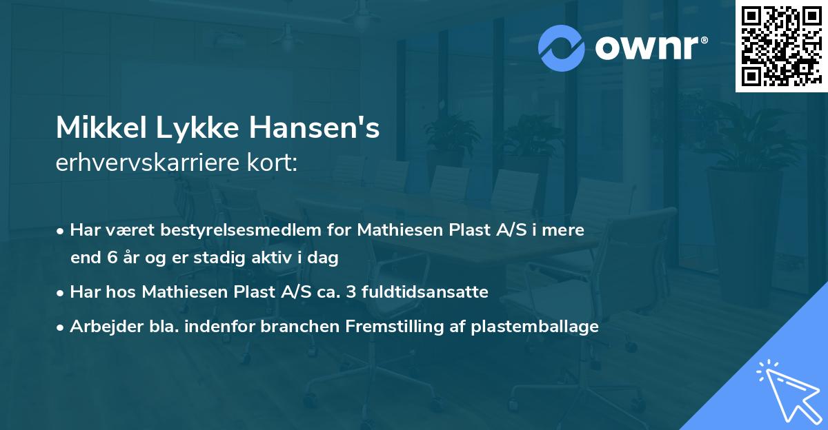 Mikkel Lykke Hansen's erhvervskarriere kort