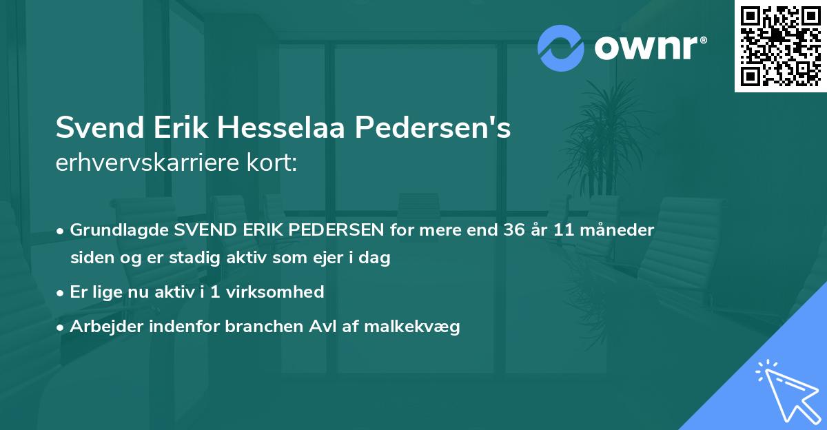 Svend Erik Hesselaa Pedersen's erhvervskarriere kort