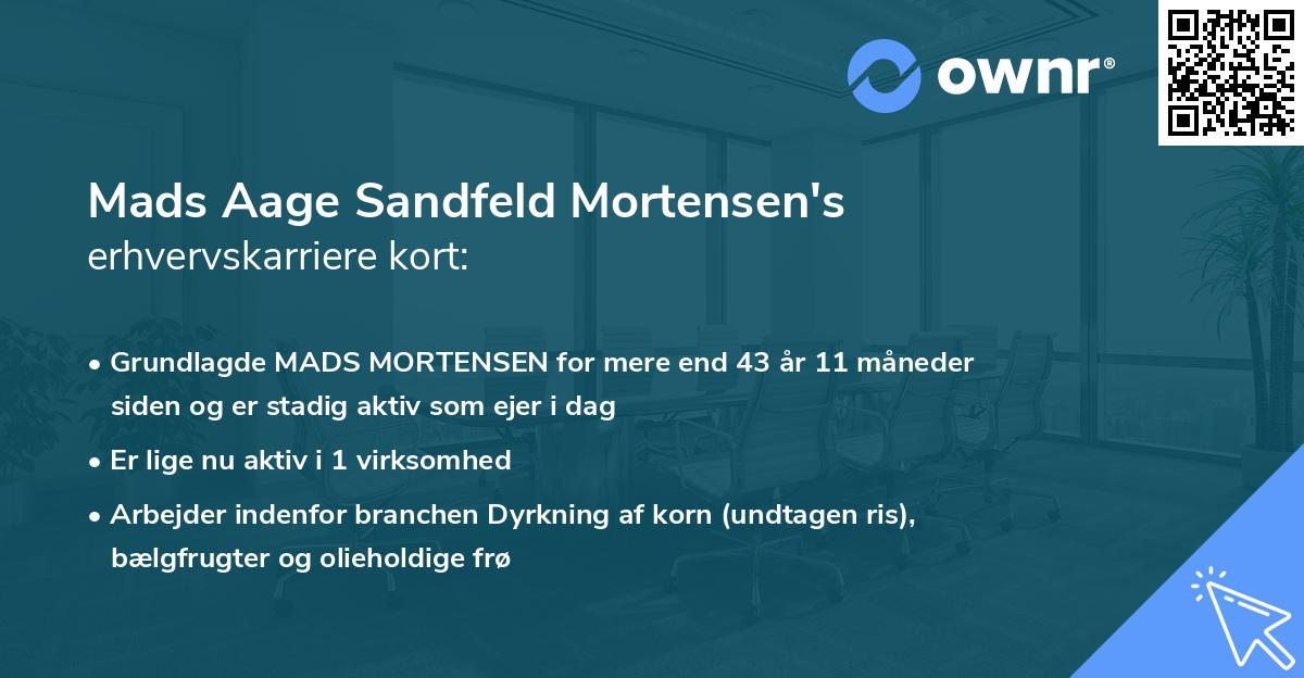 Mads Aage Sandfeld Mortensen's erhvervskarriere kort