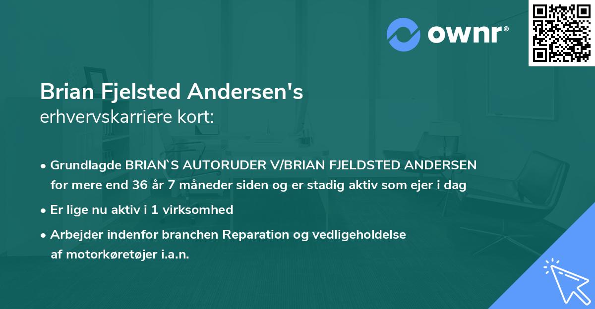 Brian Fjelsted Andersen's erhvervskarriere kort