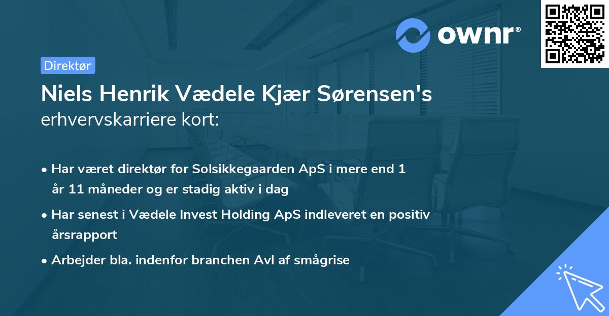 Niels Henrik Vædele Kjær Sørensen's erhvervskarriere kort