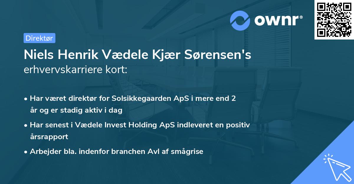 Niels Henrik Vædele Kjær Sørensen's erhvervskarriere kort