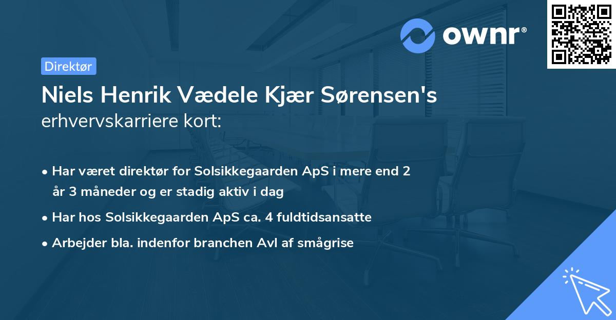 Niels Henrik Vædele Kjær Sørensen's erhvervskarriere kort
