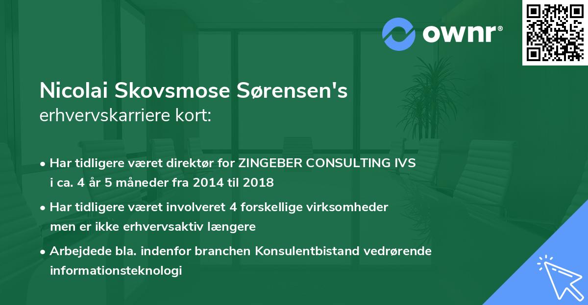 Nicolai Skovsmose Sørensen's erhvervskarriere kort
