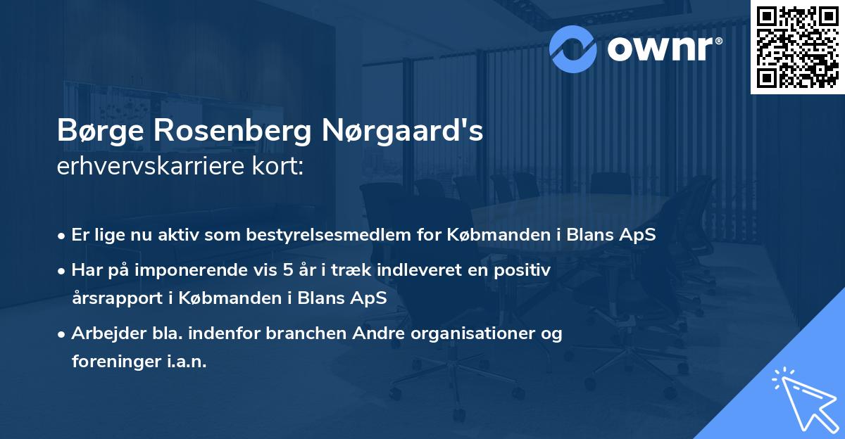 Børge Rosenberg Nørgaard's erhvervskarriere kort