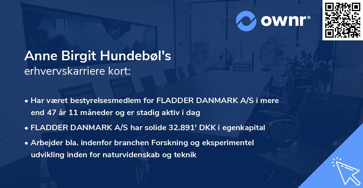 Anne Birgit Hundebøl's erhvervskarriere kort