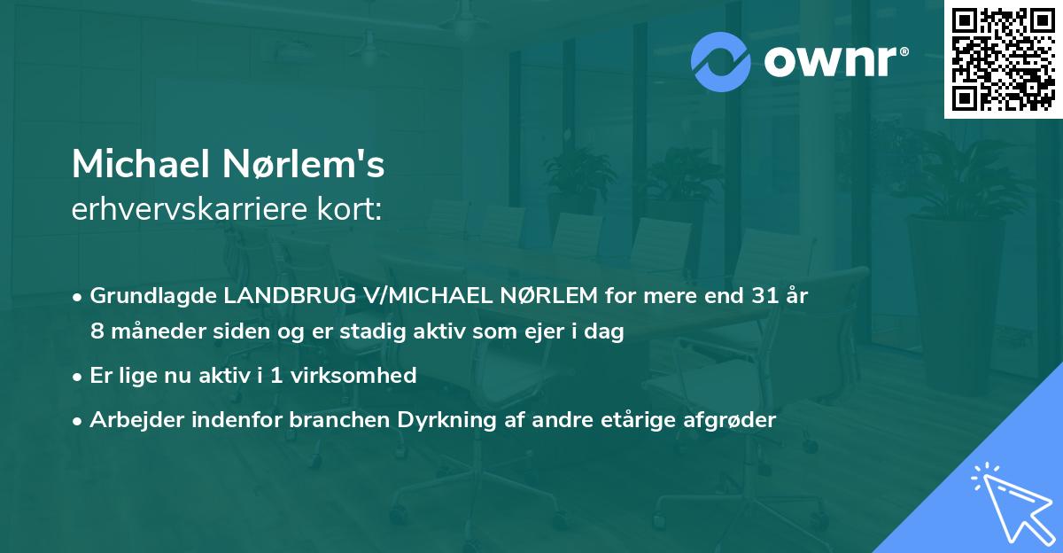 Michael Nørlem's erhvervskarriere kort