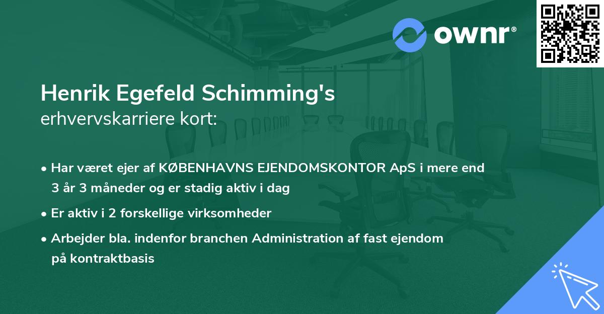 Henrik Egefeld Schimming's erhvervskarriere kort