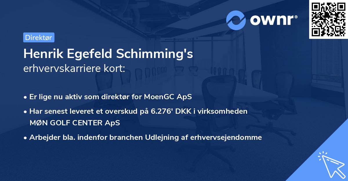 Henrik Egefeld Schimming's erhvervskarriere kort