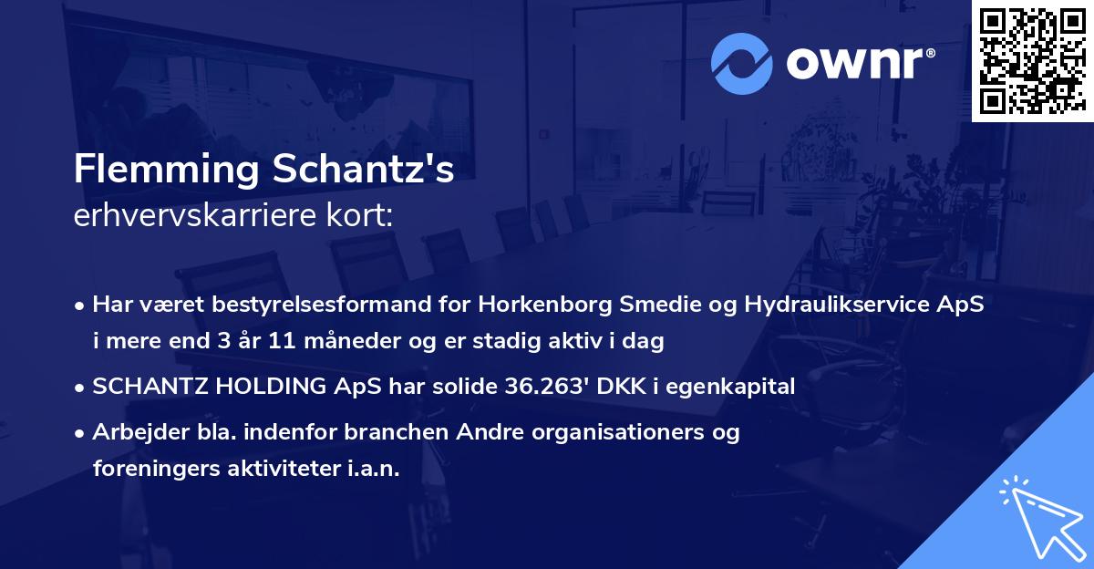 Flemming Schantz's erhvervskarriere kort