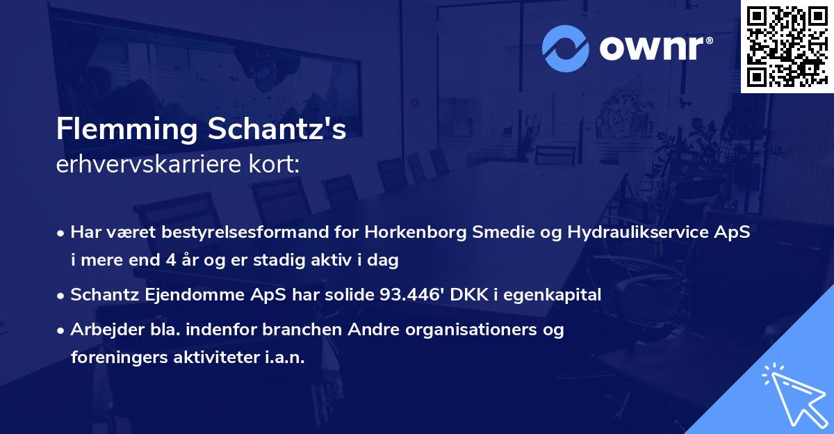 Flemming Schantz's erhvervskarriere kort