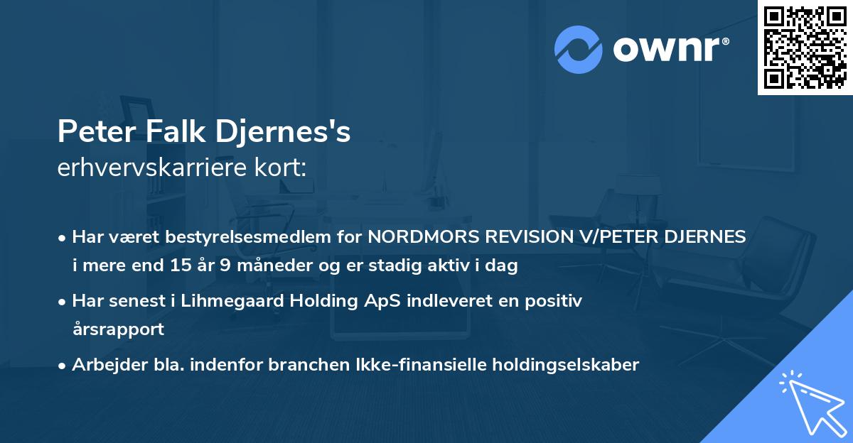 Peter Falk Djernes's erhvervskarriere kort