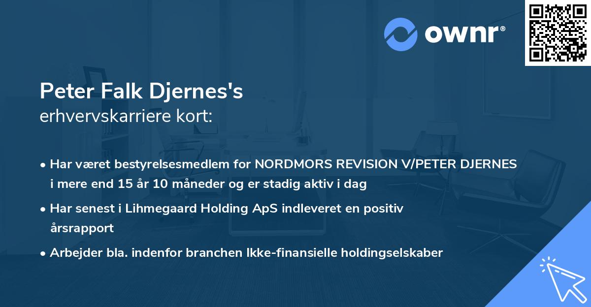 Peter Falk Djernes's erhvervskarriere kort
