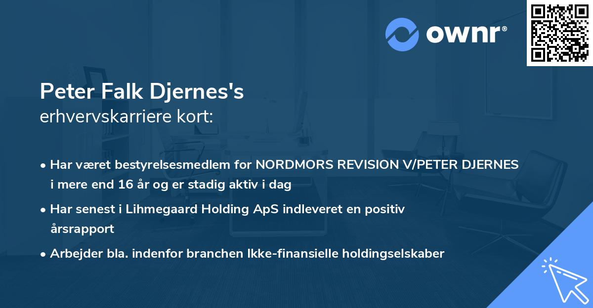 Peter Falk Djernes's erhvervskarriere kort