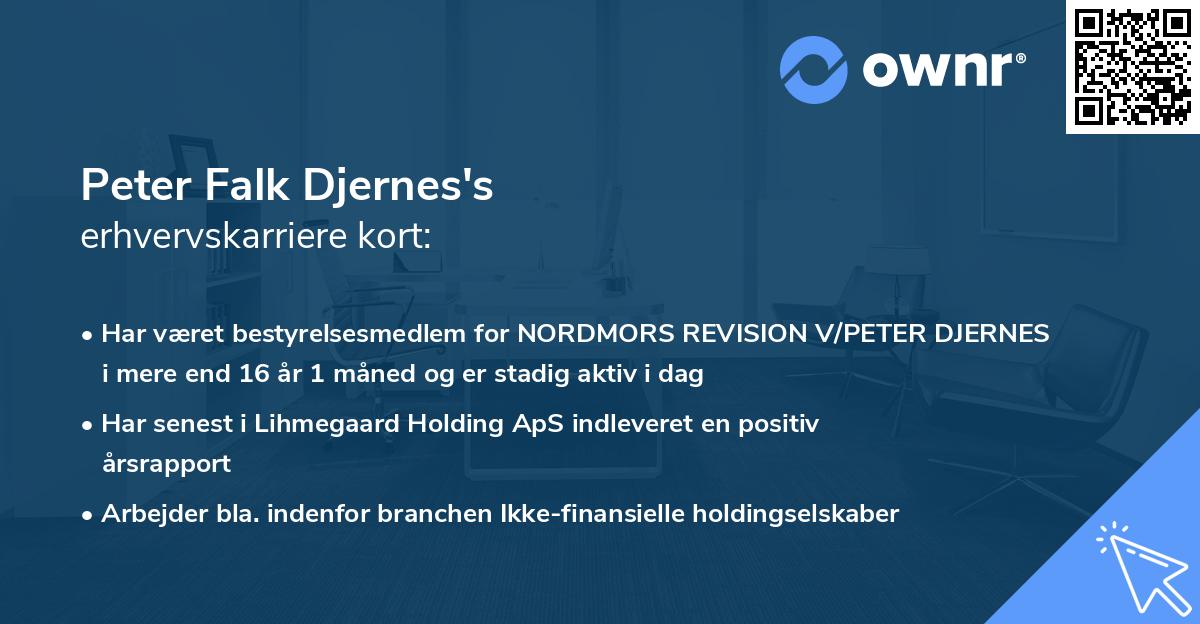 Peter Falk Djernes's erhvervskarriere kort