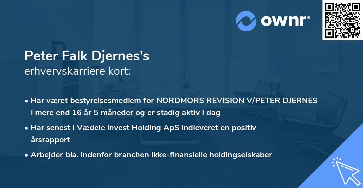 Peter Falk Djernes's erhvervskarriere kort