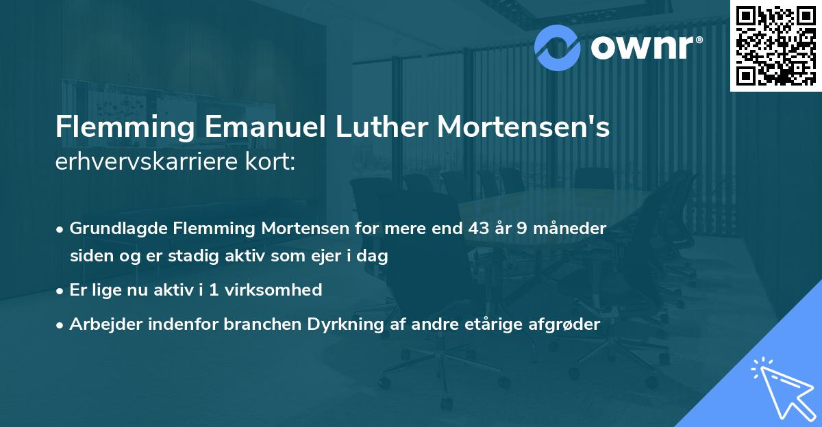 Flemming Emanuel Luther Mortensen's erhvervskarriere kort