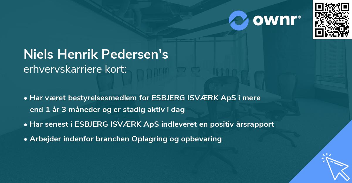 Niels Henrik Pedersen's erhvervskarriere kort