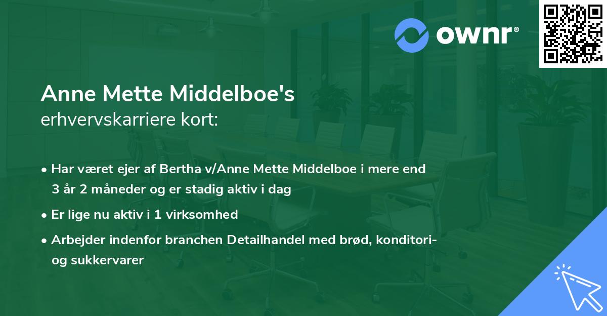 Anne Mette Middelboe's erhvervskarriere kort