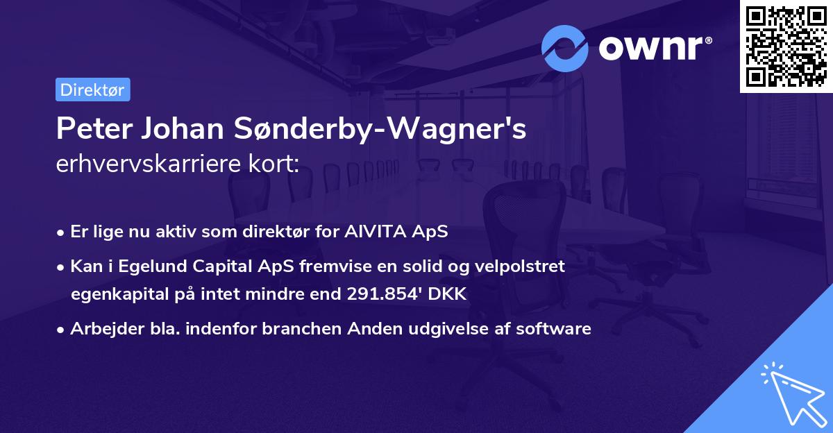 Peter Johan Sønderby-Wagner's erhvervskarriere kort