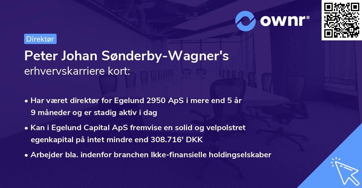 Peter Johan Sønderby-Wagner's erhvervskarriere kort