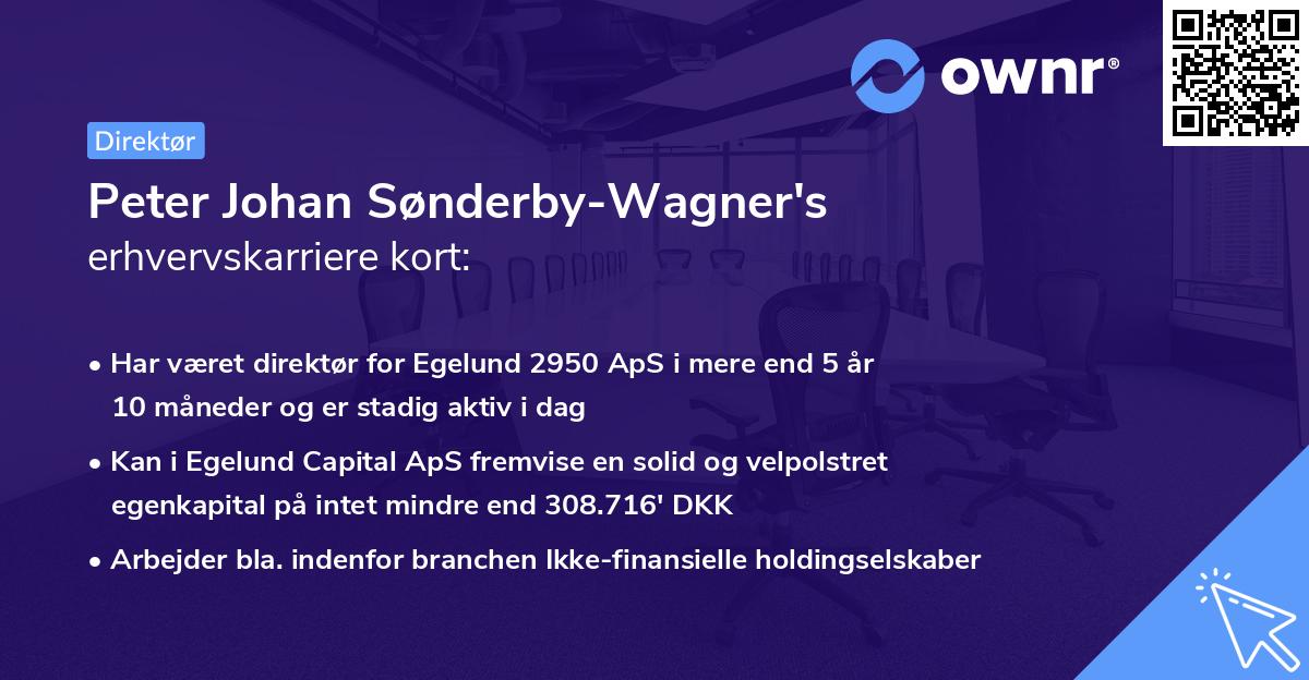 Peter Johan Sønderby-Wagner's erhvervskarriere kort