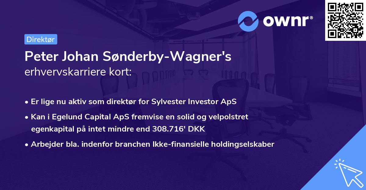 Peter Johan Sønderby-Wagner's erhvervskarriere kort