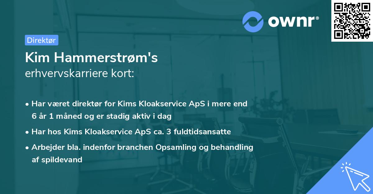 Kim Hammerstrøm's erhvervskarriere kort