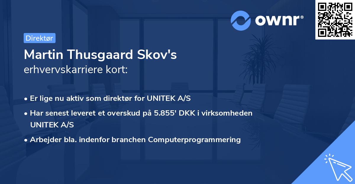Martin Thusgaard Skov's erhvervskarriere kort