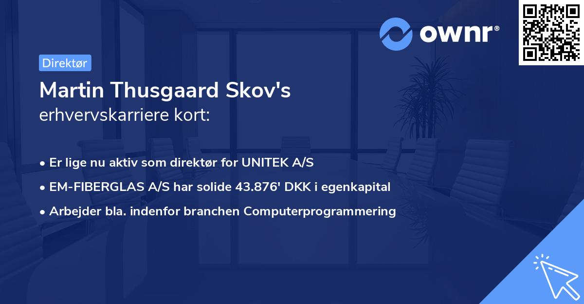 Martin Thusgaard Skov's erhvervskarriere kort