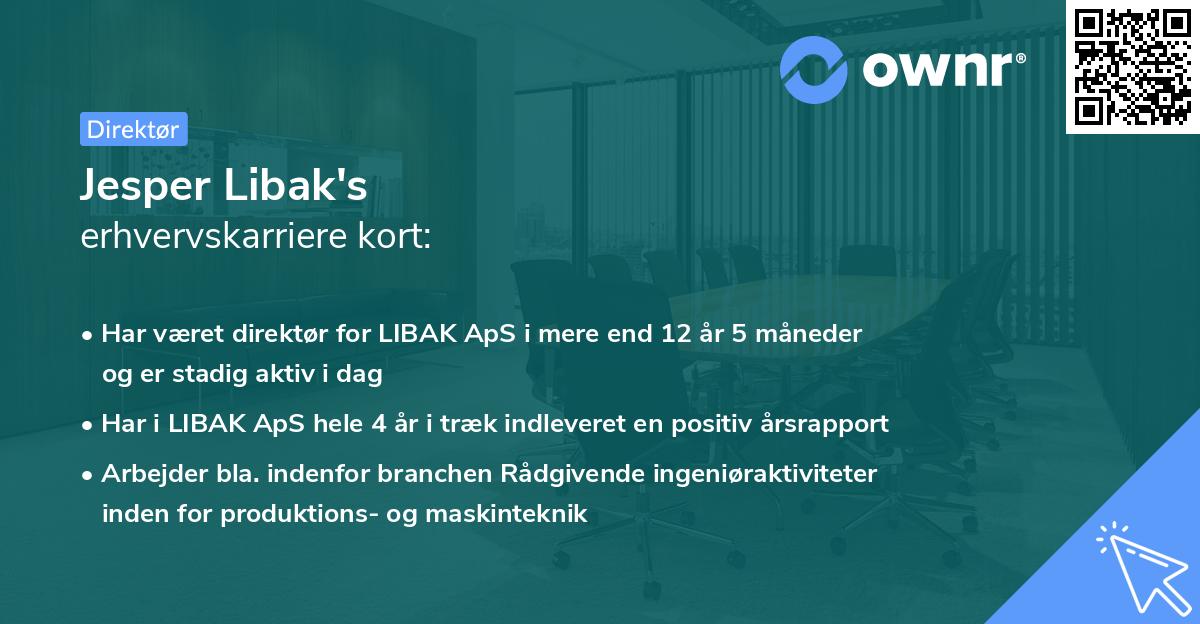 Jesper Libak's erhvervskarriere kort
