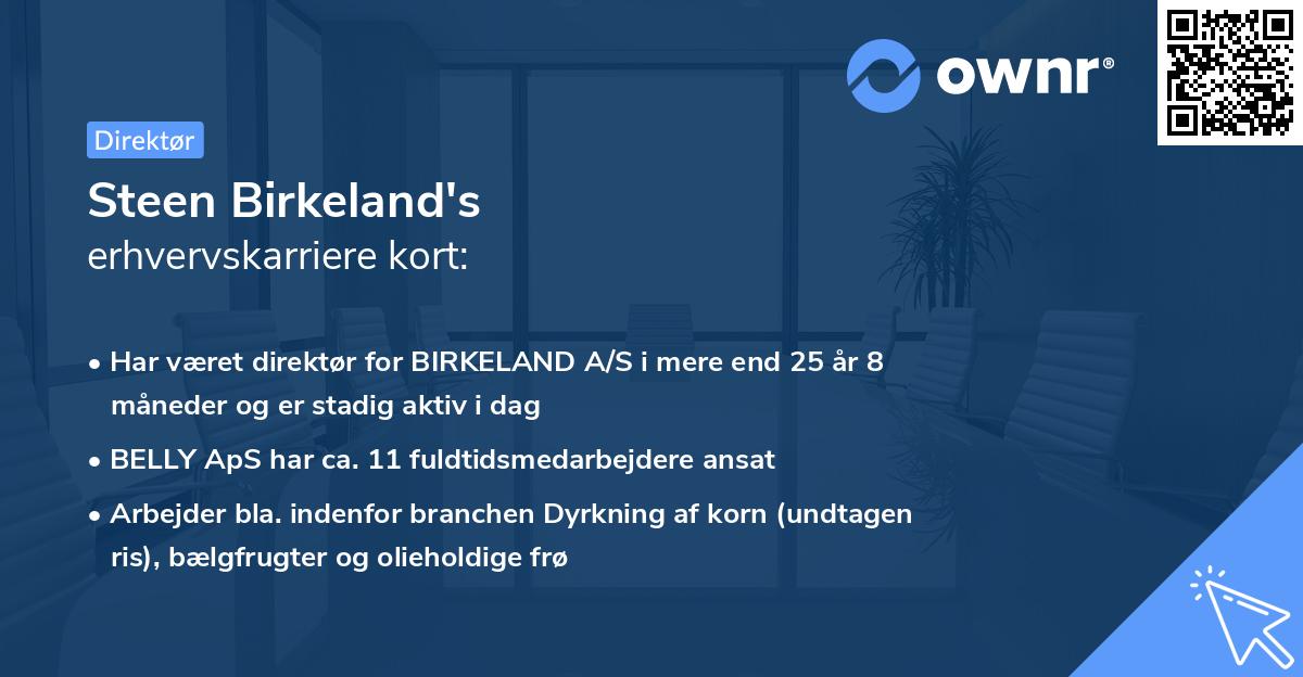 Steen Birkeland's erhvervskarriere kort