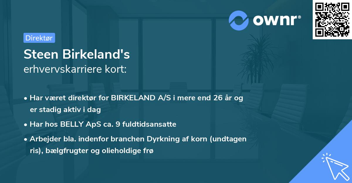 Steen Birkeland's erhvervskarriere kort