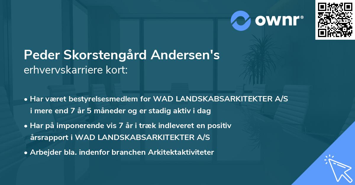 Peder Skorstengård Andersen's erhvervskarriere kort