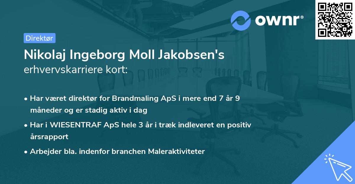 Nikolaj Ingeborg Moll Jakobsen's erhvervskarriere kort
