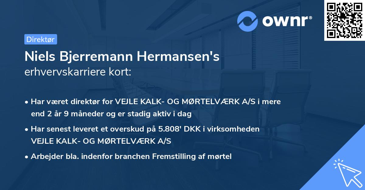 Niels Bjerremann Hermansen's erhvervskarriere kort